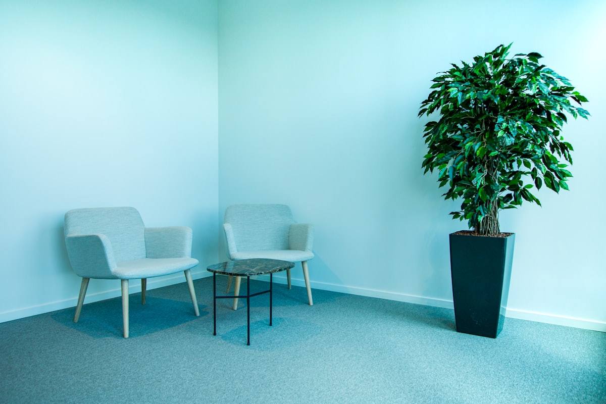 Petit salon d'attente bleu ciel avec deux fauteuils et un arbre en pot, cabinet à Rennes