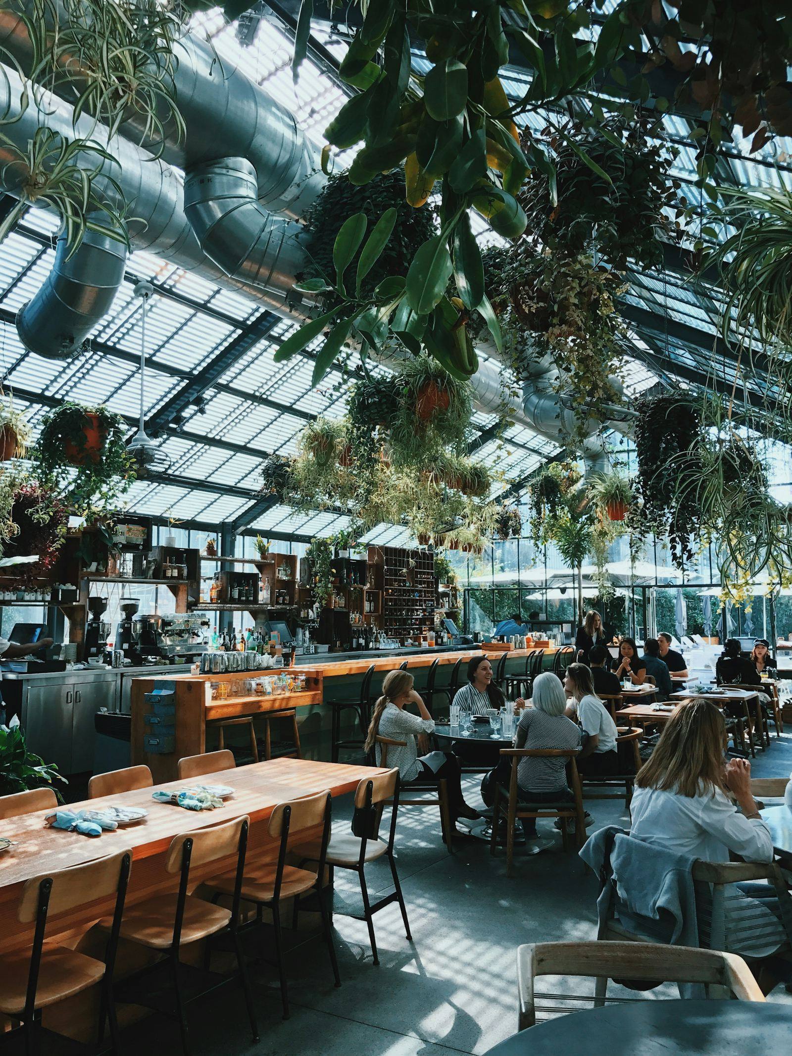 Vue en contre-plongée de la verrière et des plantes suspendues au-dessus de la salle, restaurant à Dinan